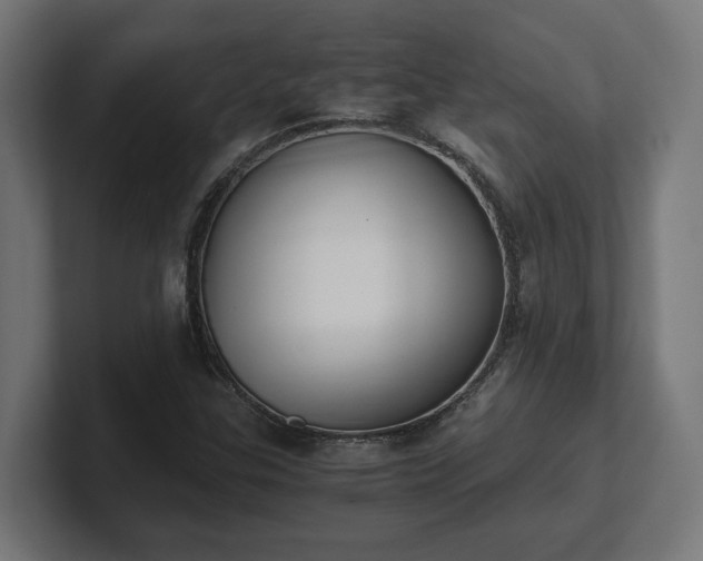 X0000101661307200807171305