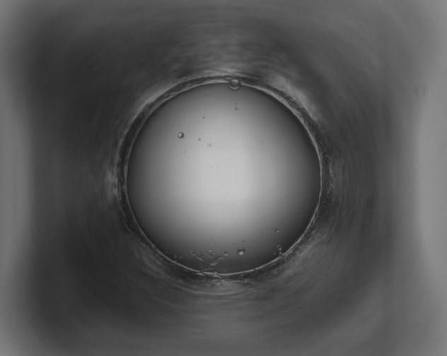 X0000101661308200807171305