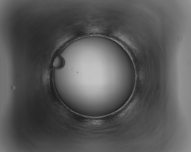 X0000101661309200807171305