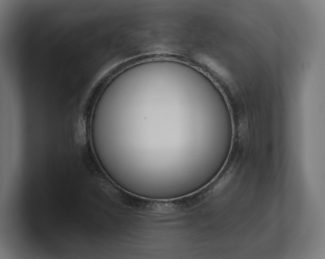 X0000101661310200807171305