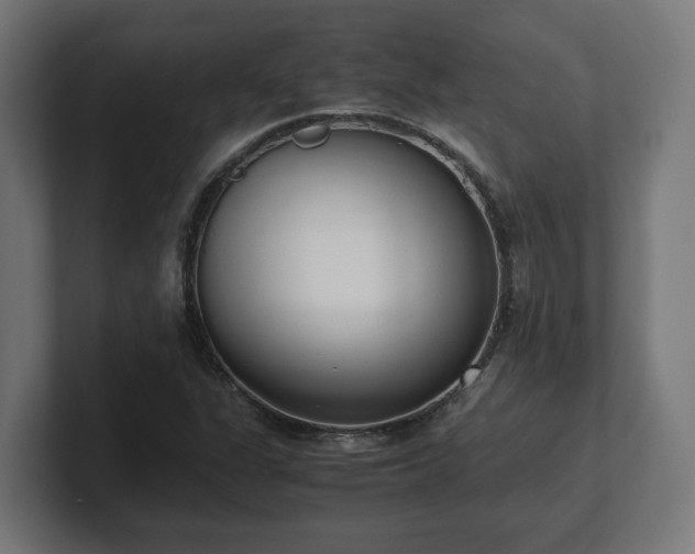 X0000101661311200807171305