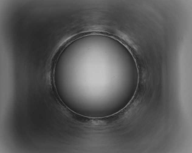 X0000101661312200807171305