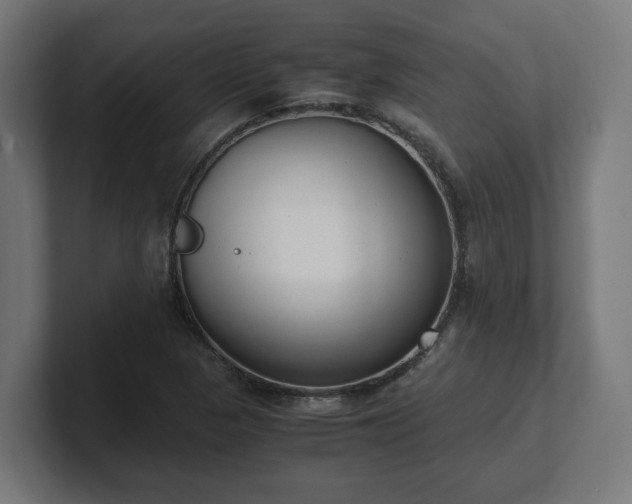 X0000101661313200807171305