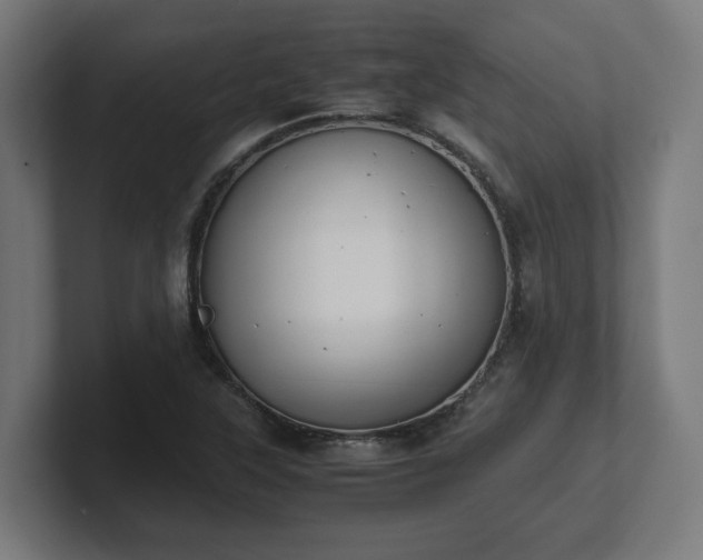 X0000101661315200807171305