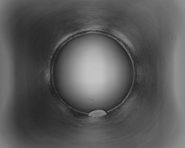 X0000101661316200807171305