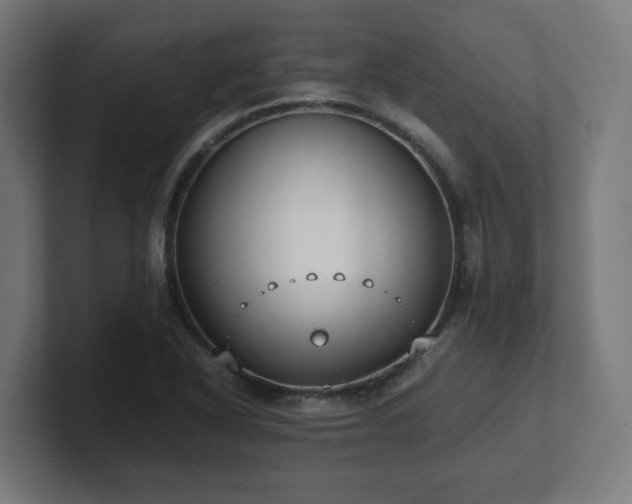 X0000101661318200807171306