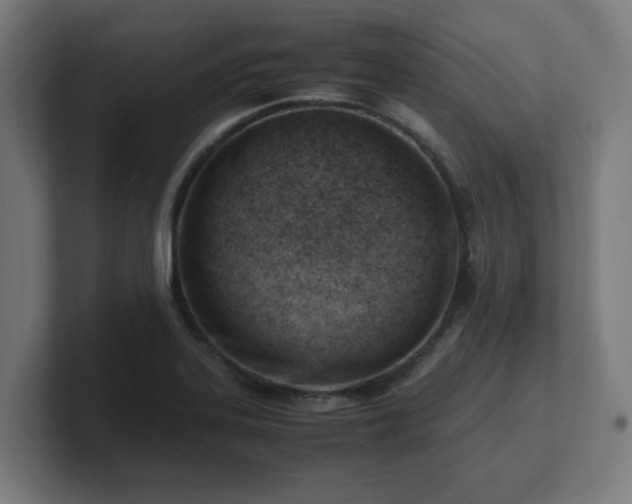 X0000101661323200807171306