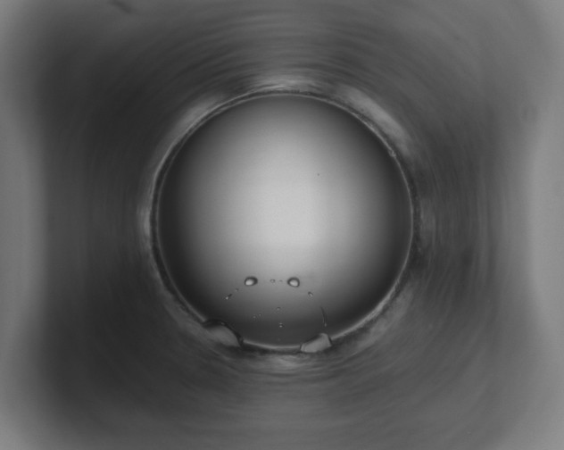 X0000101661330200807171306