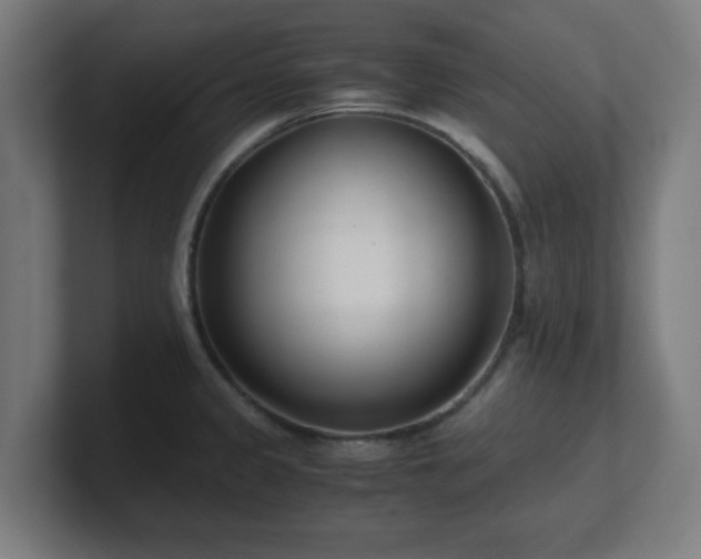 X0000101661333200807171306