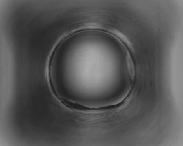 X0000101661334200807171306