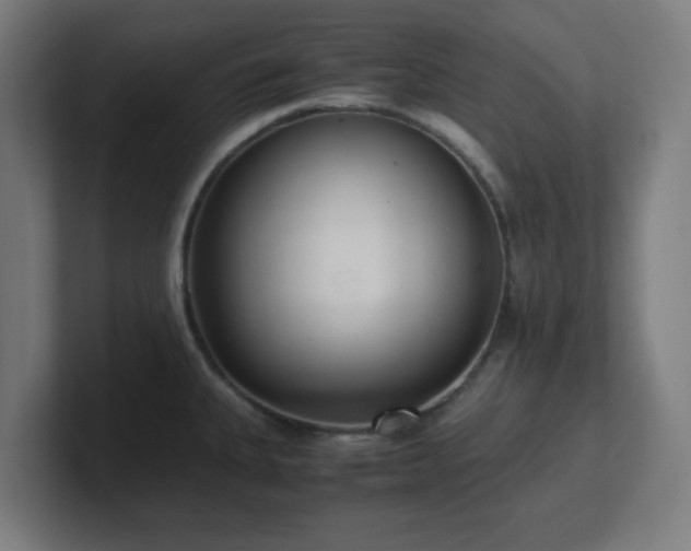 X0000101661335200807171306