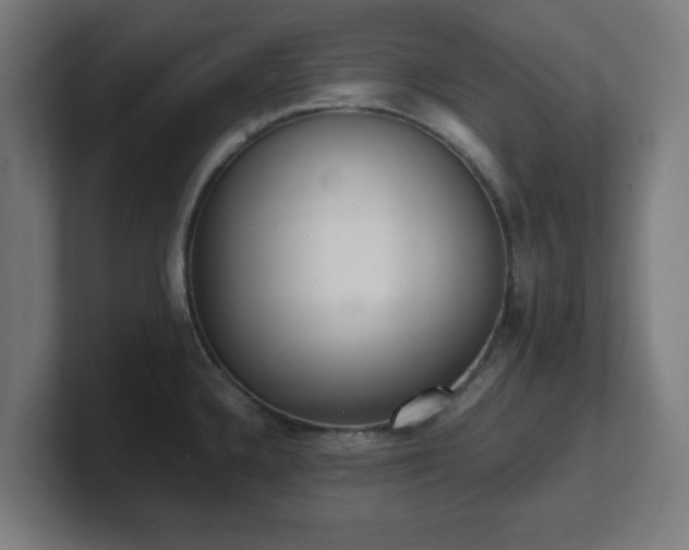 X0000101661336200807171306