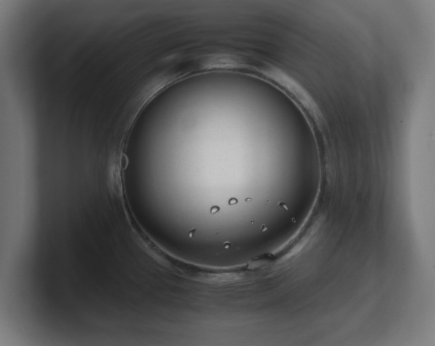 X0000101661337200807171306