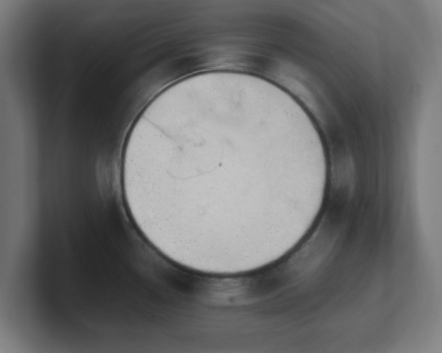 X0000101661338200807171306