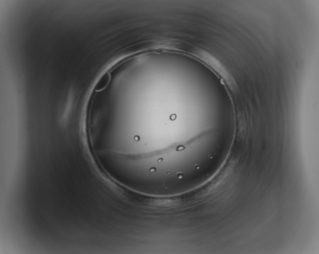 X0000101661339200807171306