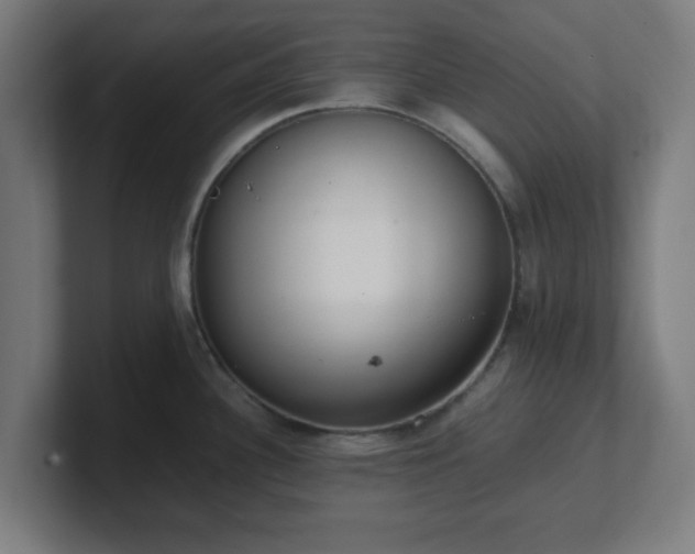 X0000101661340200807171306