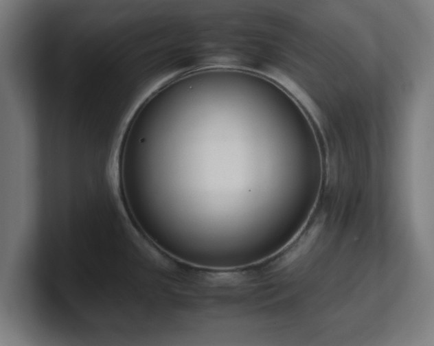 X0000101661341200807171306