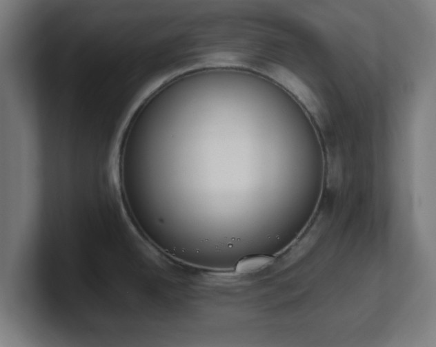 X0000101661342200807171306