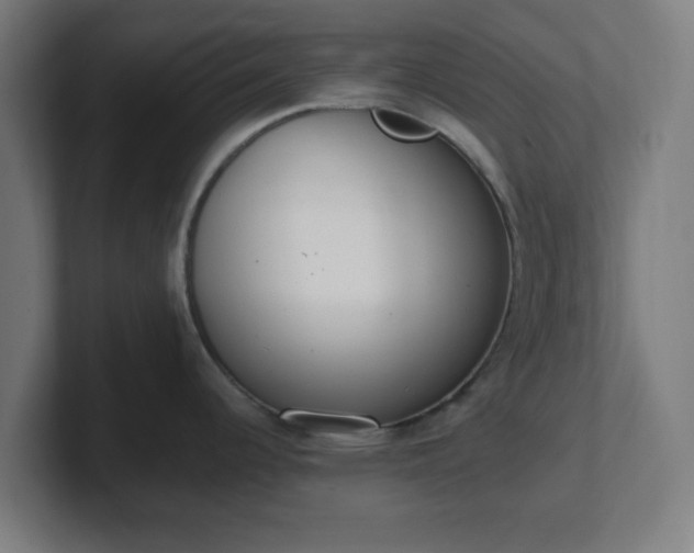 X0000101661344200807171306