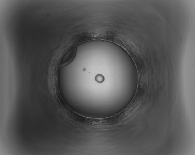 X0000101661345200807171305