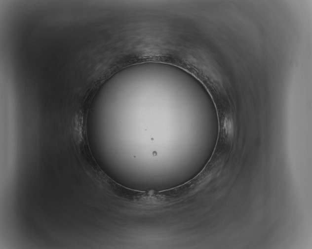 X0000101661348200807171305