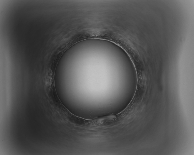 X0000101661349200807171305