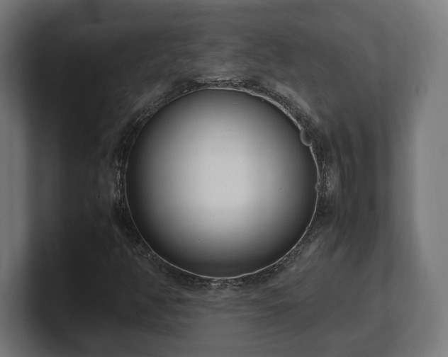 X0000101661350200807171305