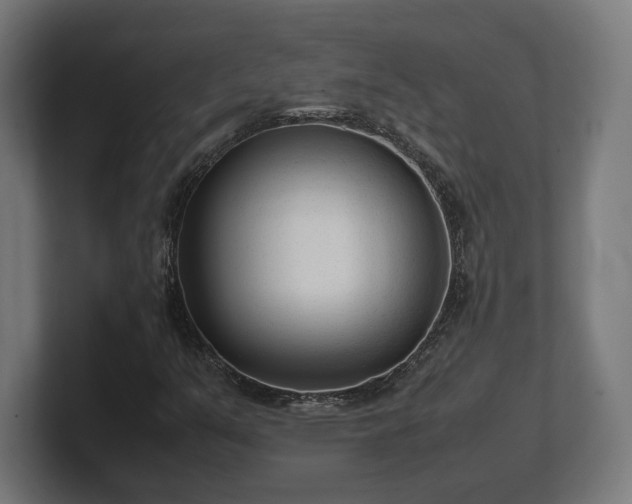 X0000101661351200807171305