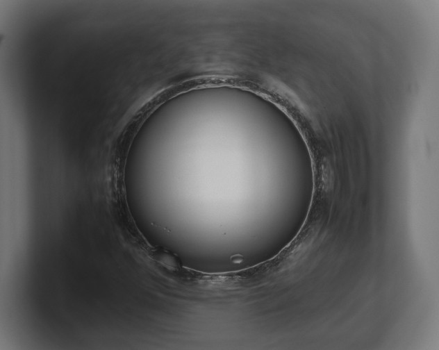 X0000101661352200807171305