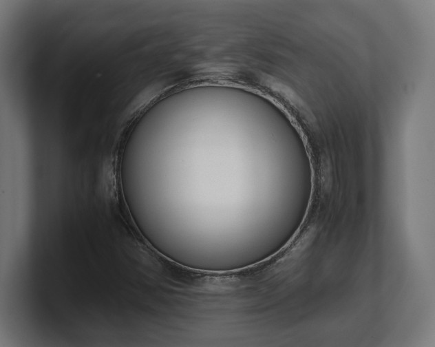 X0000101661354200807171305