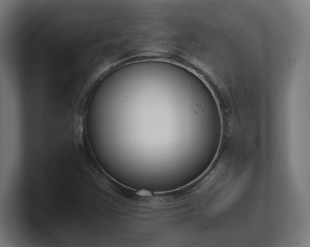 X0000101661355200807171305