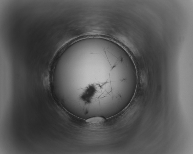 X0000101661356200807171305