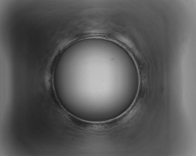 X0000101661357200807171305