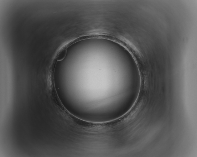 X0000101661358200807171305