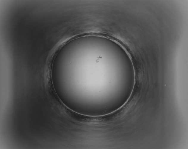 X0000101661359200807171305