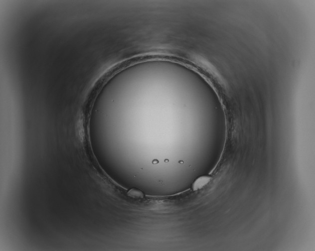 X0000101661360200807171305