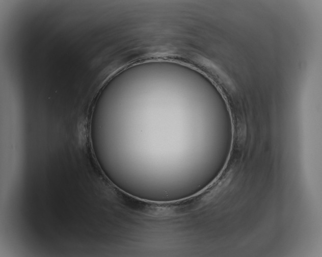 X0000101661361200807171305