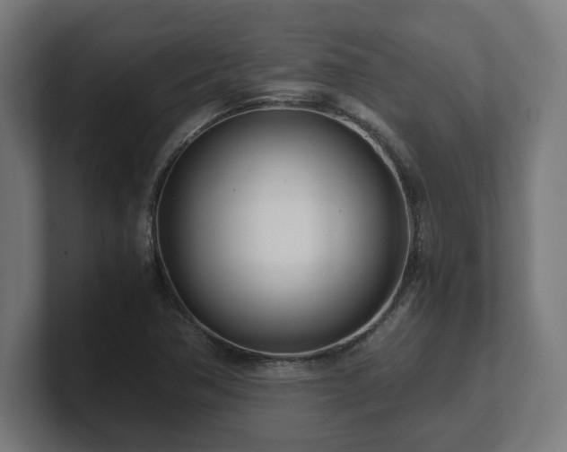 X0000101661362200807171305