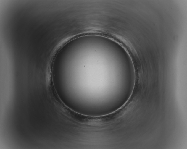 X0000101661363200807171305