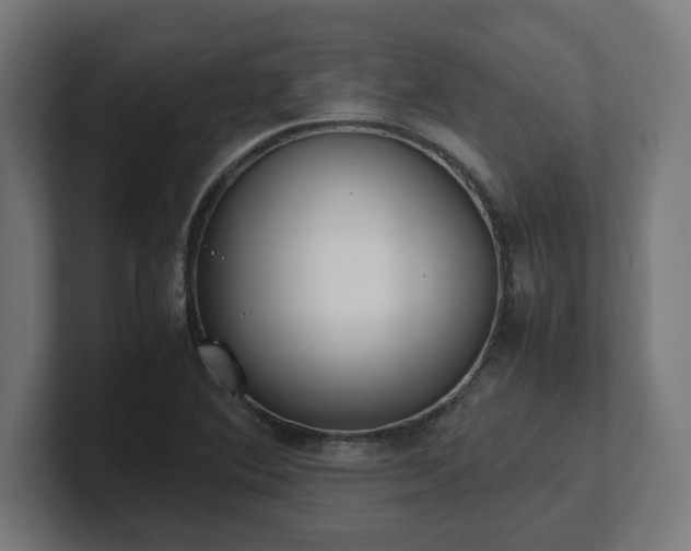 X0000101661364200807171305