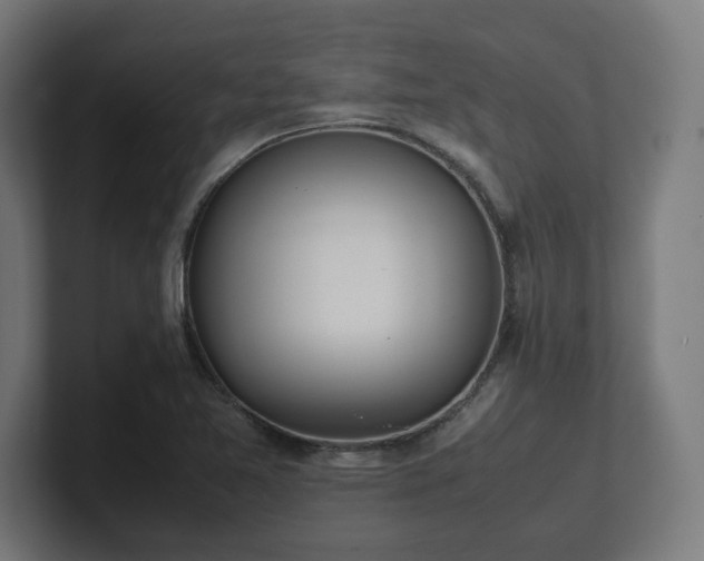 X0000101661365200807171305