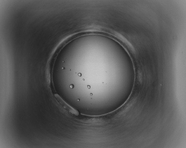 X0000101661368200807171305