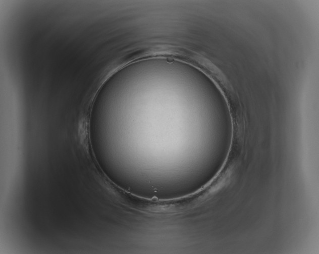 X0000101661369200807171305