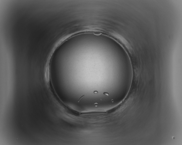 X0000101661371200807171305