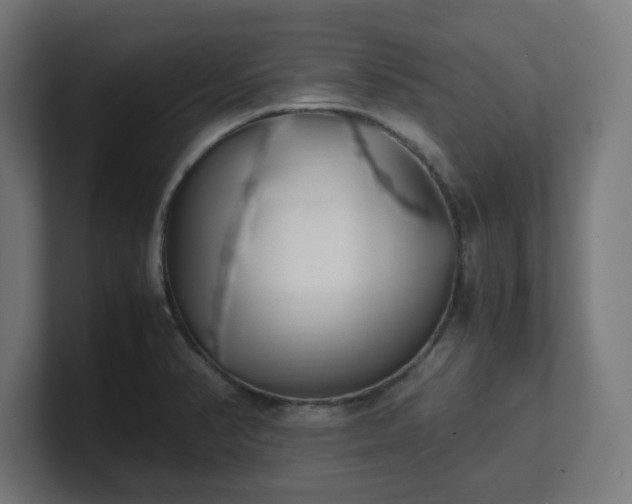 X0000101661374200807171305