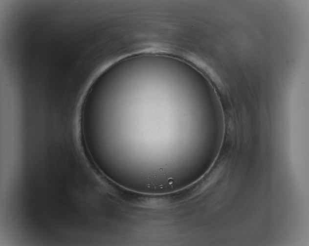 X0000101661375200807171305