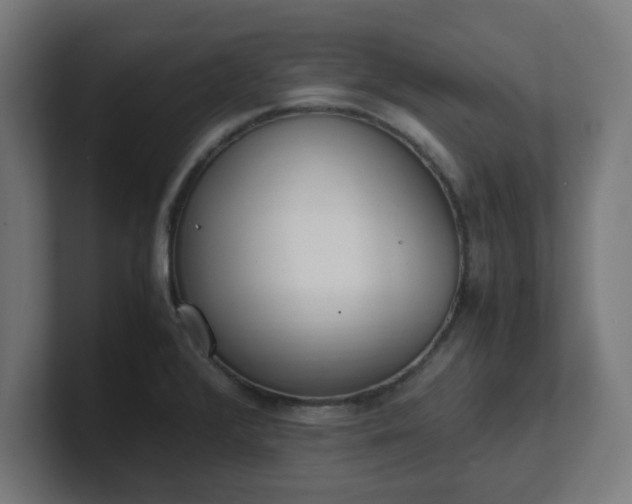 X0000101661376200807171305