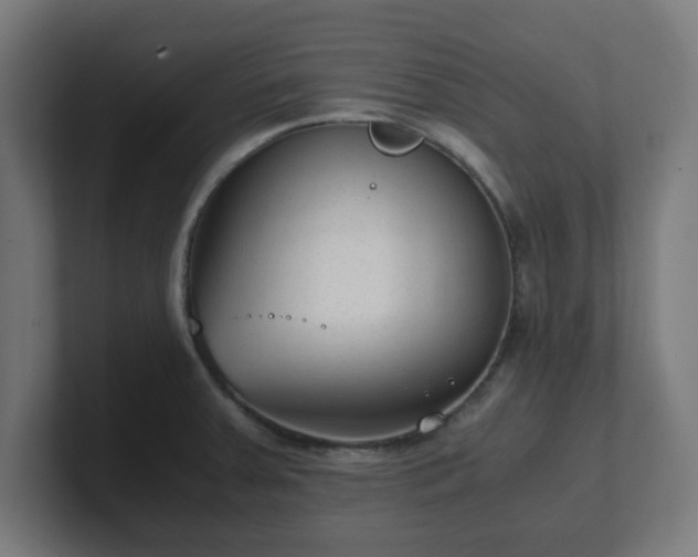 X0000101661379200807171305