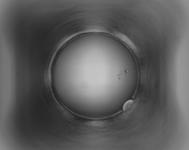 X0000101661380200807171305