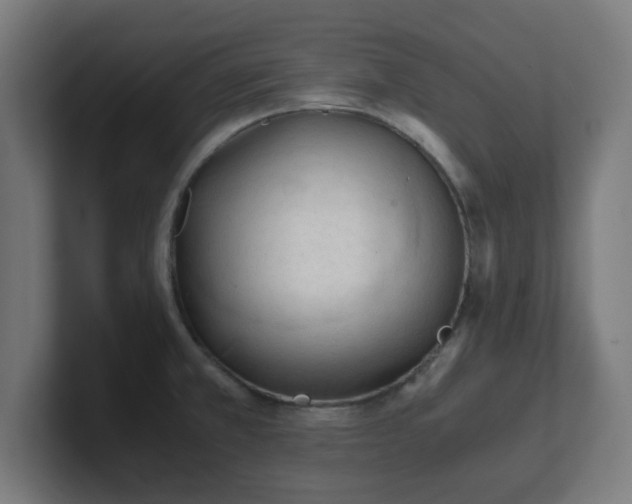 X0000101661381200807171305